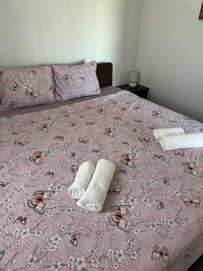 Apartments Airport Golubovci ポドゴリツァ エクステリア 写真