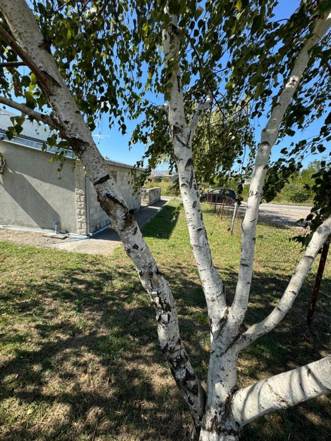 Apartments Airport Golubovci ポドゴリツァ エクステリア 写真