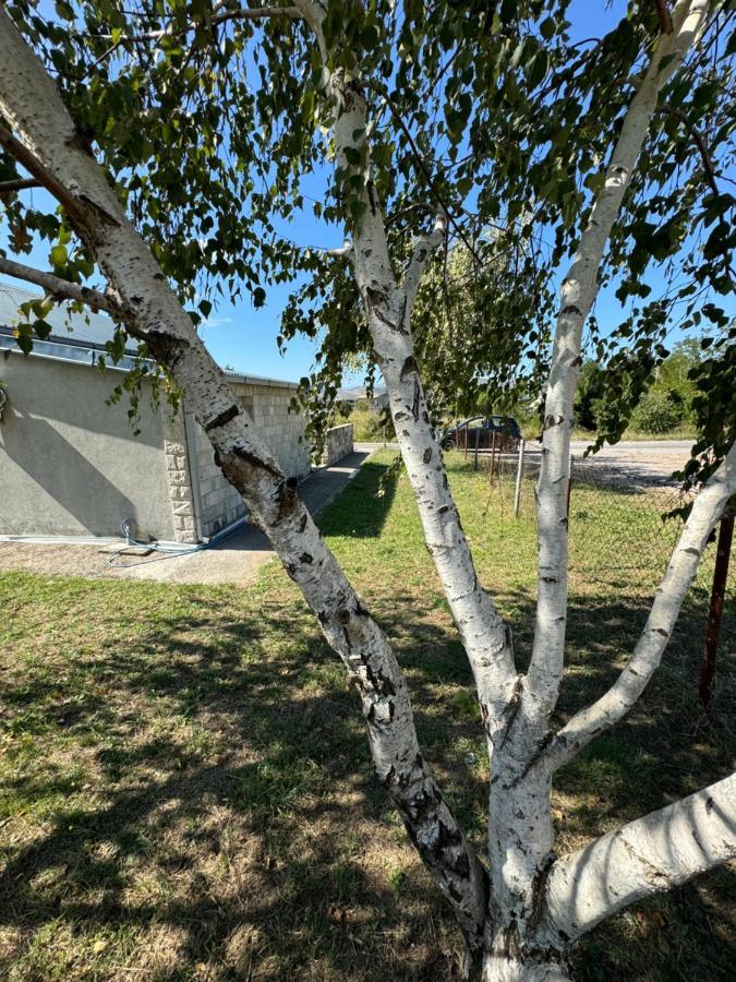 Apartments Airport Golubovci ポドゴリツァ エクステリア 写真